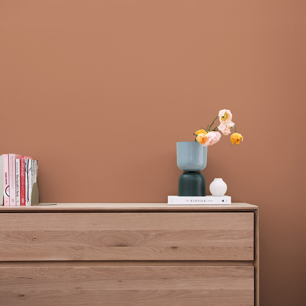 Peinture terracotta douce - Fini mat (Baked) – COAT Paints