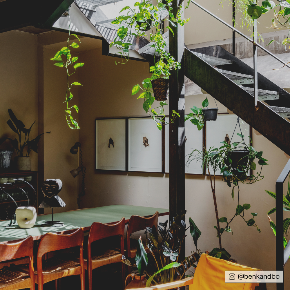 COAT Well Grounded Dark Beige Emulsion Paint