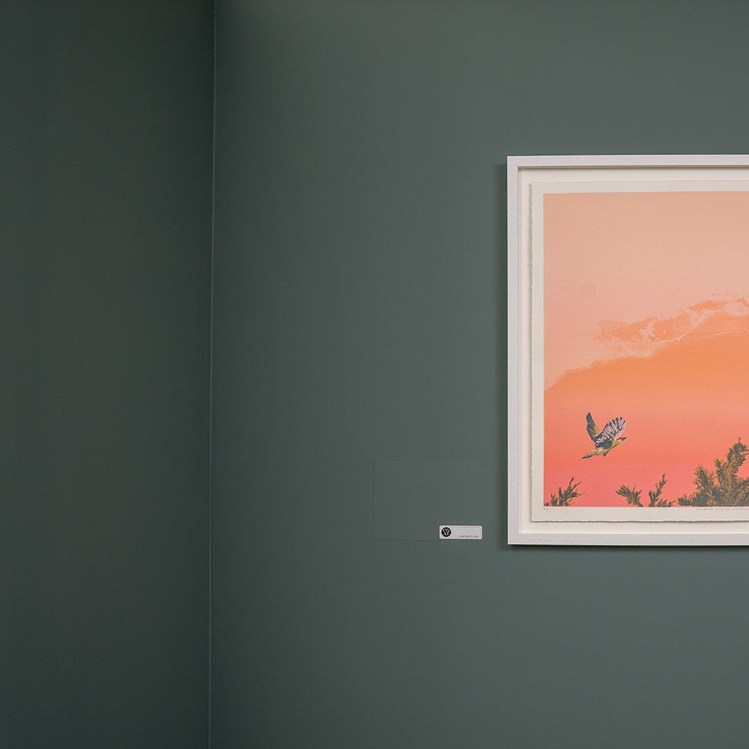 COAT Adulting Dark Greyish Teal Emulsion Paint