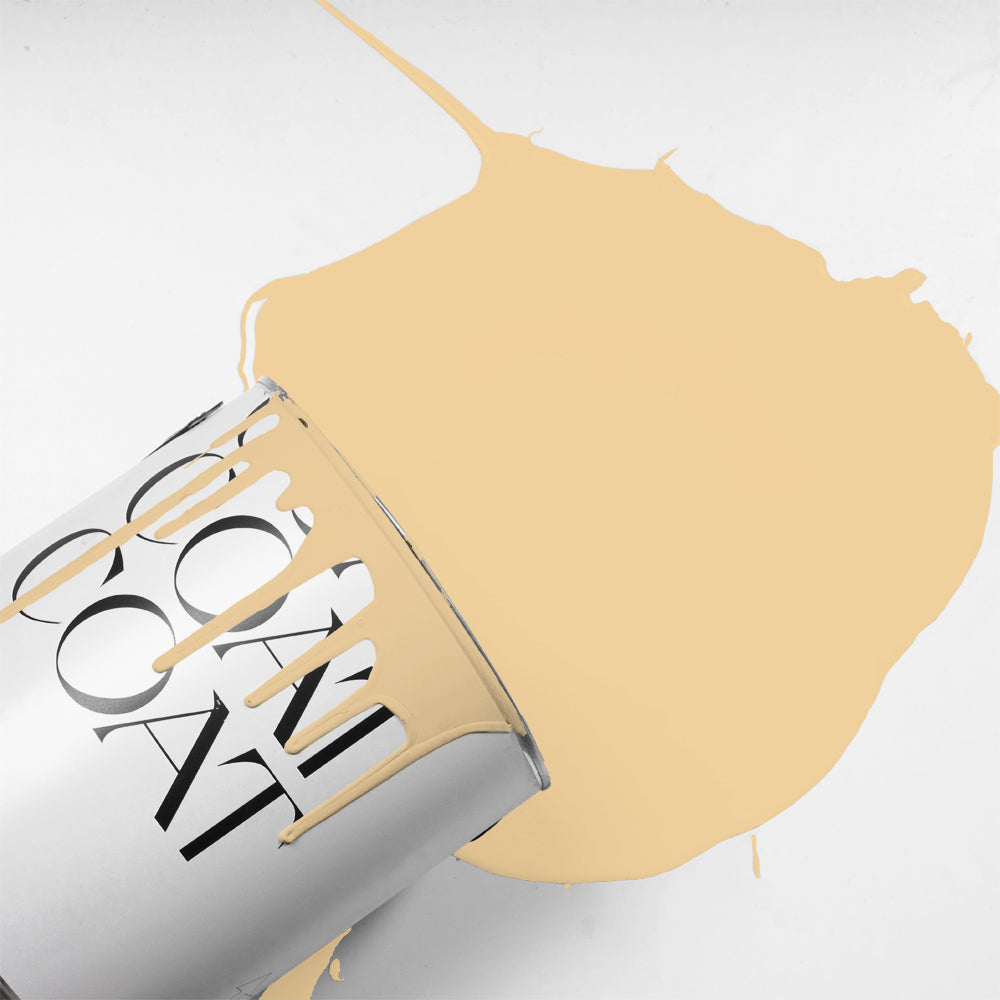 Buy Bright Pale Yellow Paint - Flat Matt (Arctic Roll) | COAT 