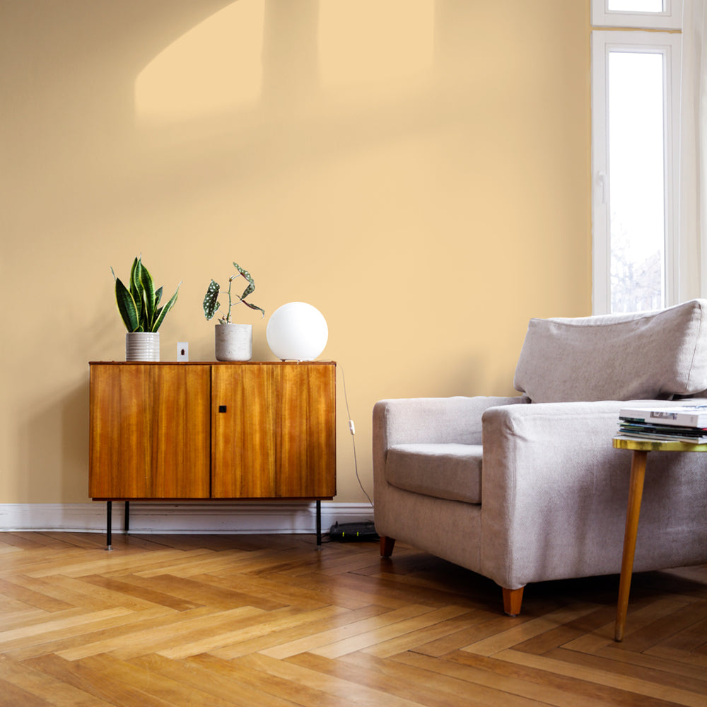 Buy Bright Pale Yellow Paint - Flat Matt (Arctic Roll) | COAT 