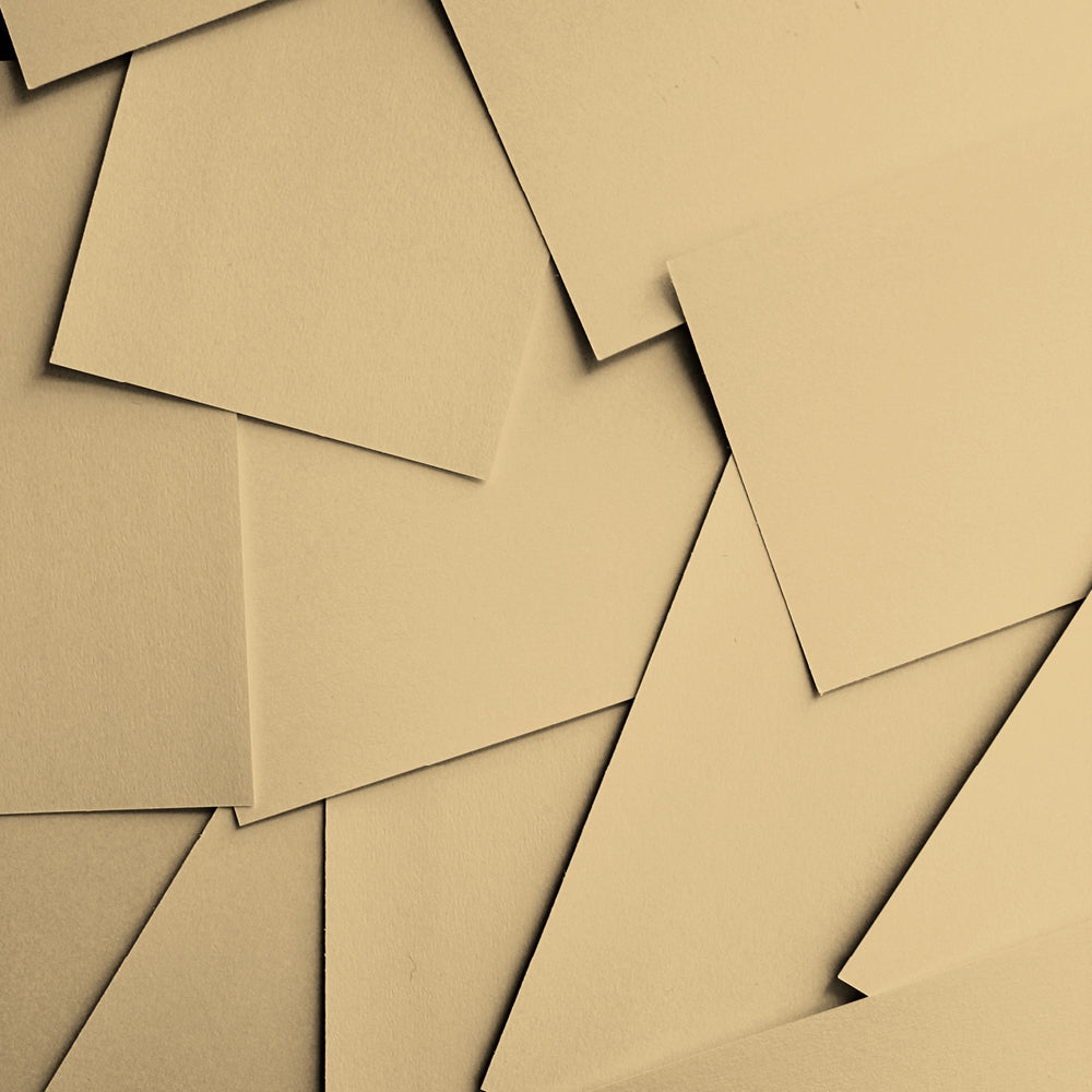 Buy Bright Pale Yellow Paint - Flat Matt (Arctic Roll) | COAT 