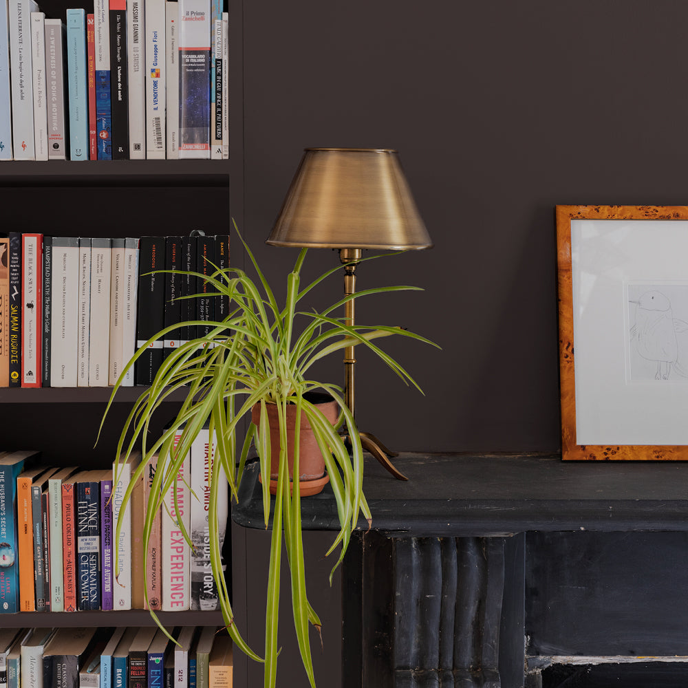 Brasserie Brown Swatch