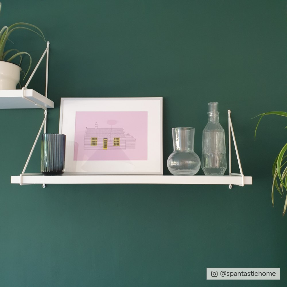 COAT Ditch The Tie Very Dark Green Emulsion Paint