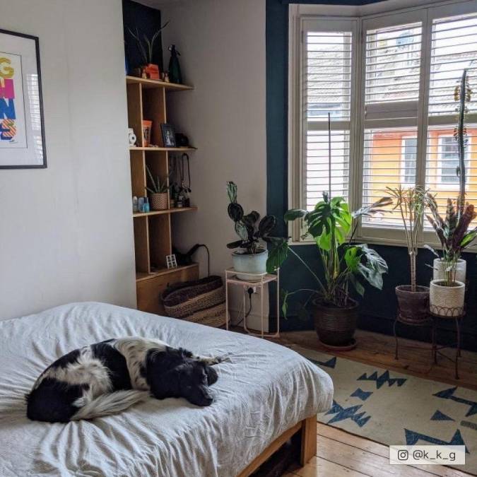 COAT Ditch The Tie Very Dark Green Emulsion Paint