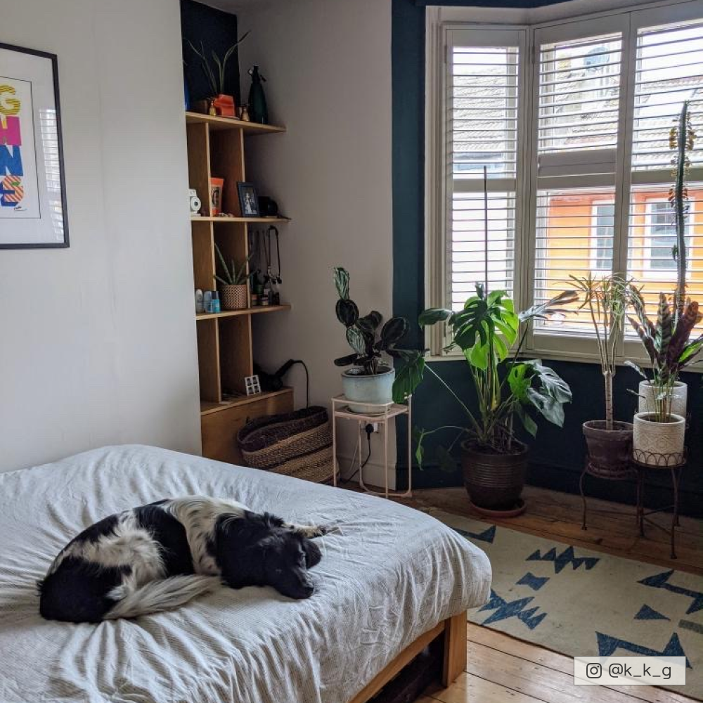 COAT Low Salt Cool Off White Emulsion Paint