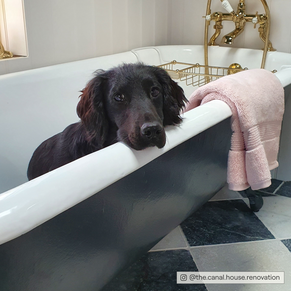 COAT David Rose Dark Blueish Black Emulsion Paint