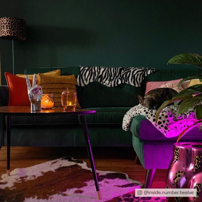 COAT Ditch The Tie Very Dark Green Emulsion Paint