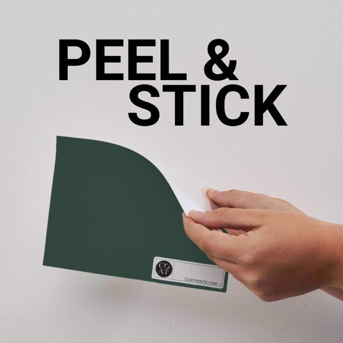 COAT Ditch The Tie Very Dark Green Emulsion Paint