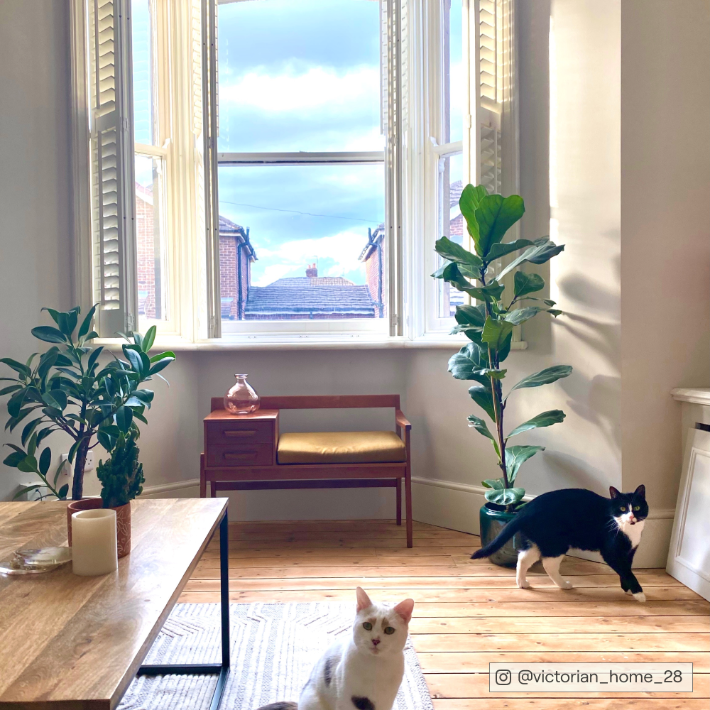 COAT Kind Regards Green Greige Emulsion Paint