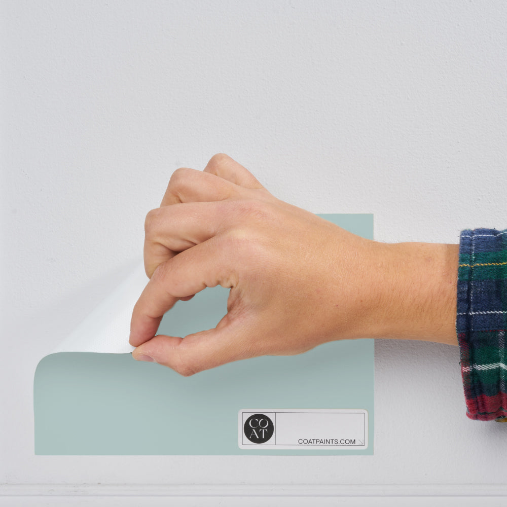 Buy Duck Egg Blue Paint - Flat Matt (Free Range) | COAT 