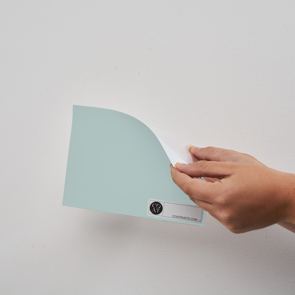 Buy Duck Egg Blue Paint - Flat Matt (Free Range) | COAT 
