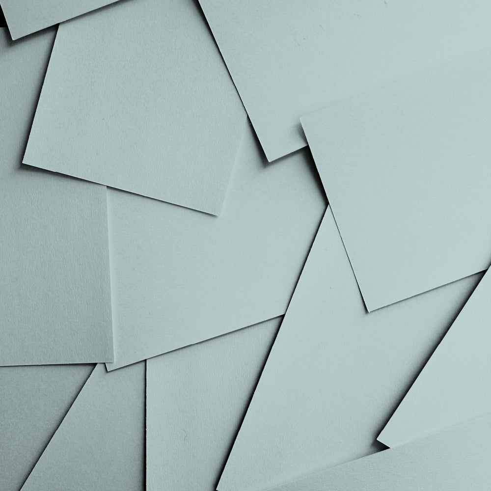 Buy Duck Egg Blue Paint - Flat Matt (Free Range) | COAT 