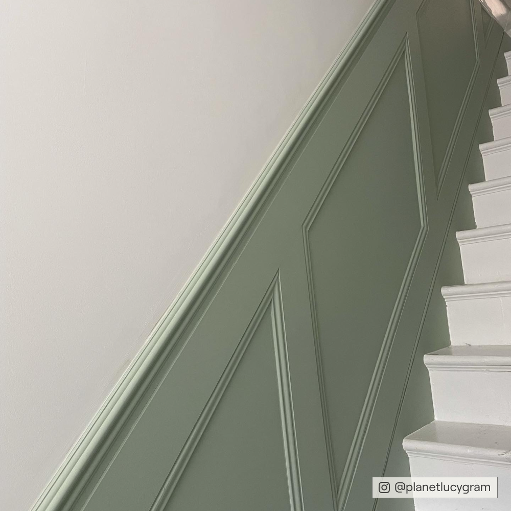 COAT Home Grown Medium Grubby Green Emulsion Paint