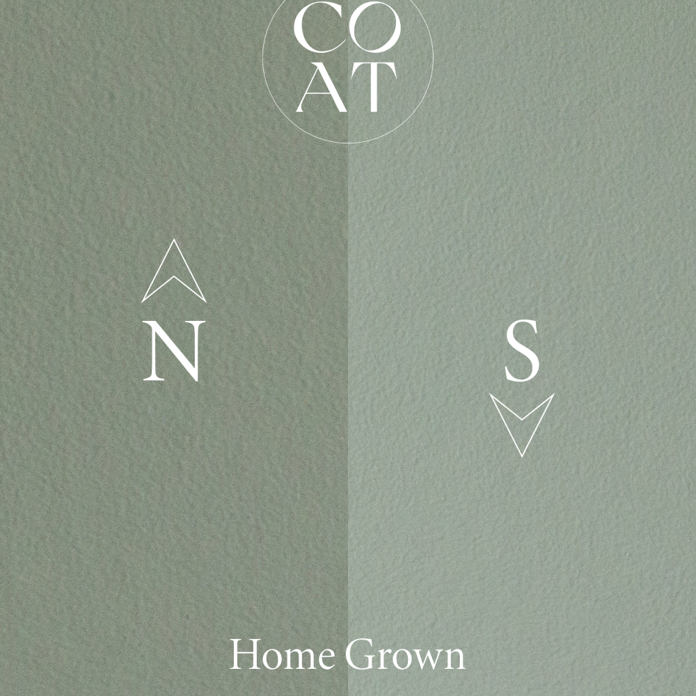 COAT Home Grown Medium Grubby Green Emulsion Paint