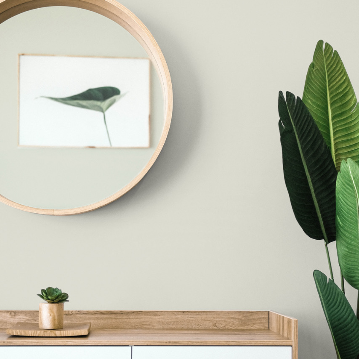 COAT Kind Regards Green Greige Emulsion Paint