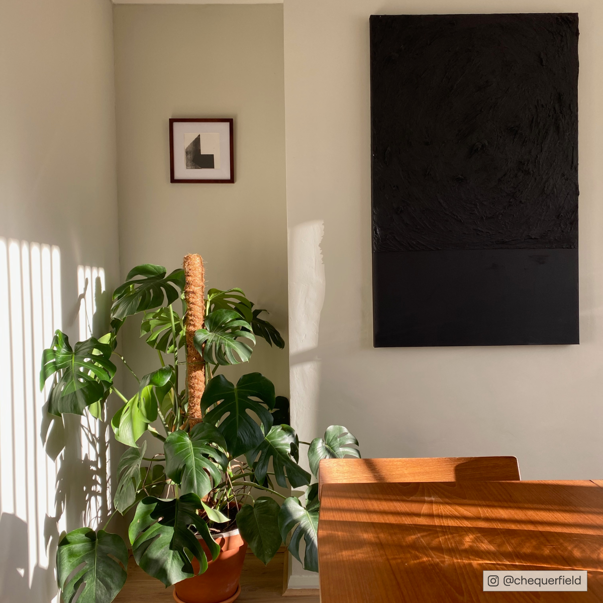 COAT Kind Regards Green Greige Emulsion Paint 