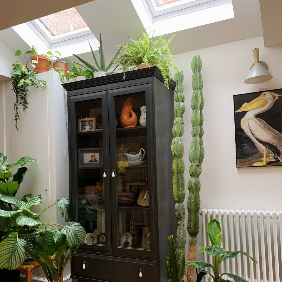 COAT Low Salt Cool Off White Emulsion Paint 