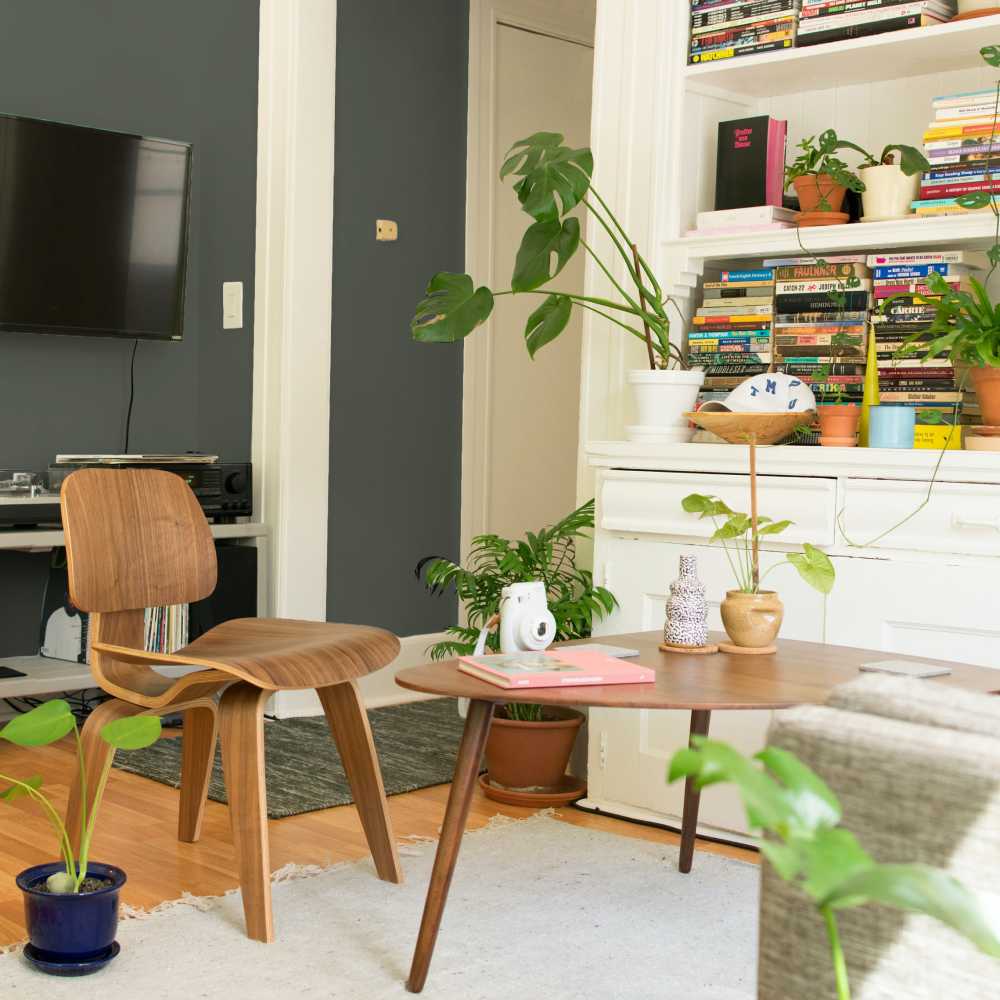 COAT Nomad Dark Olive Emulsion Paint