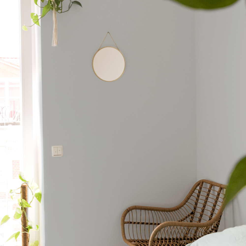 COAT On Mute Mid Grey Emulsion Paint