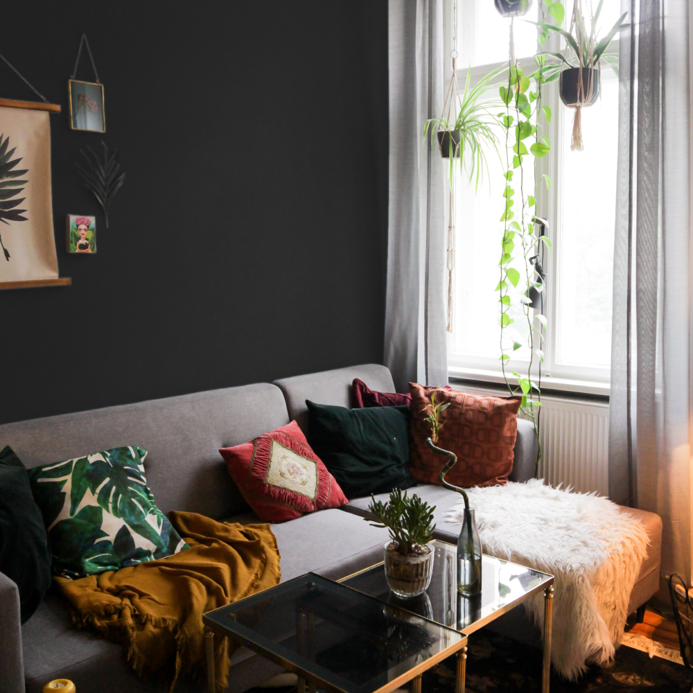 COAT The Record Store True Black Emulsion Paint 