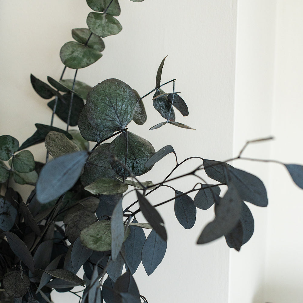 Buy Warm Putty White Paint - Flatt Matt (Safe Play) | COAT 