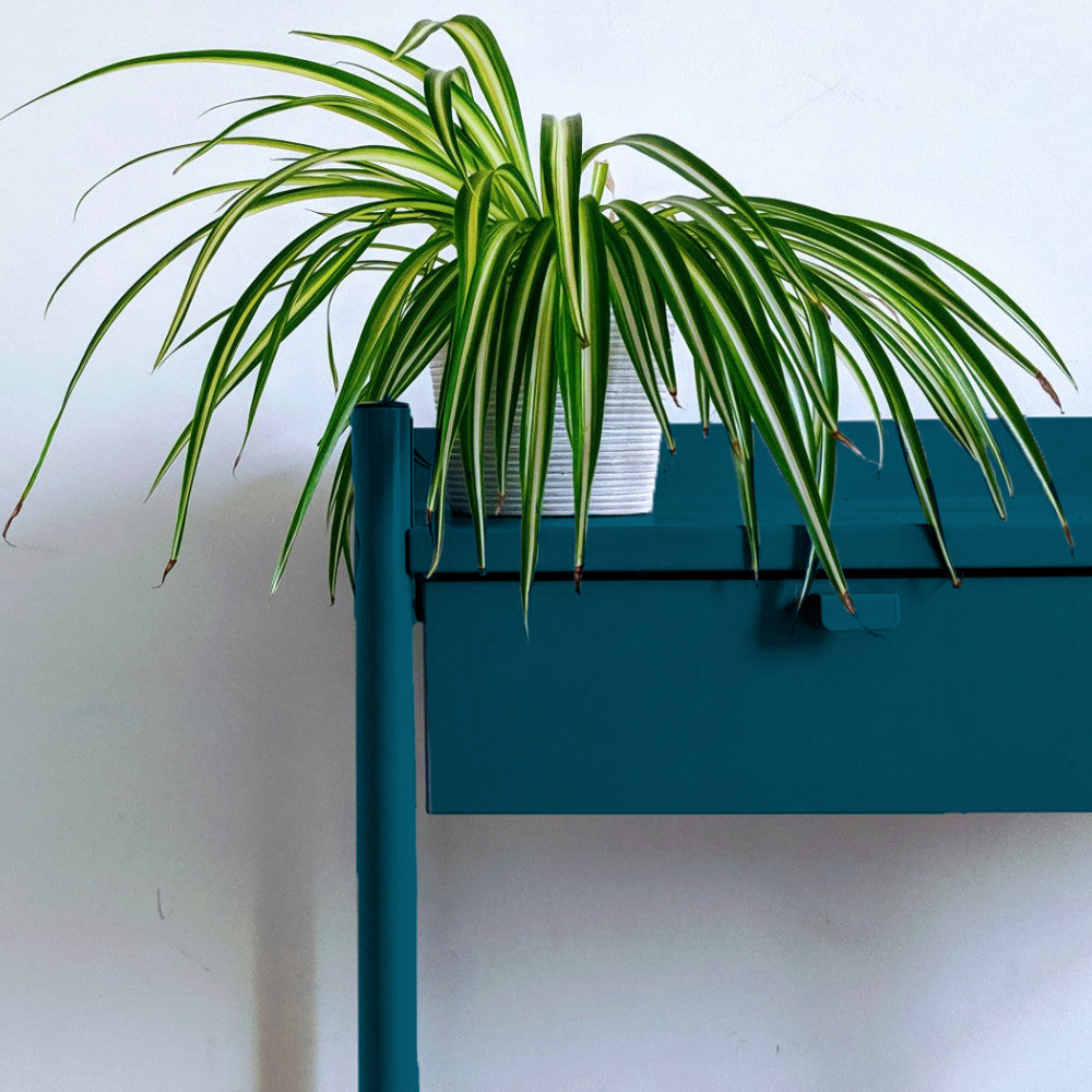 The Posh Seats Swatch