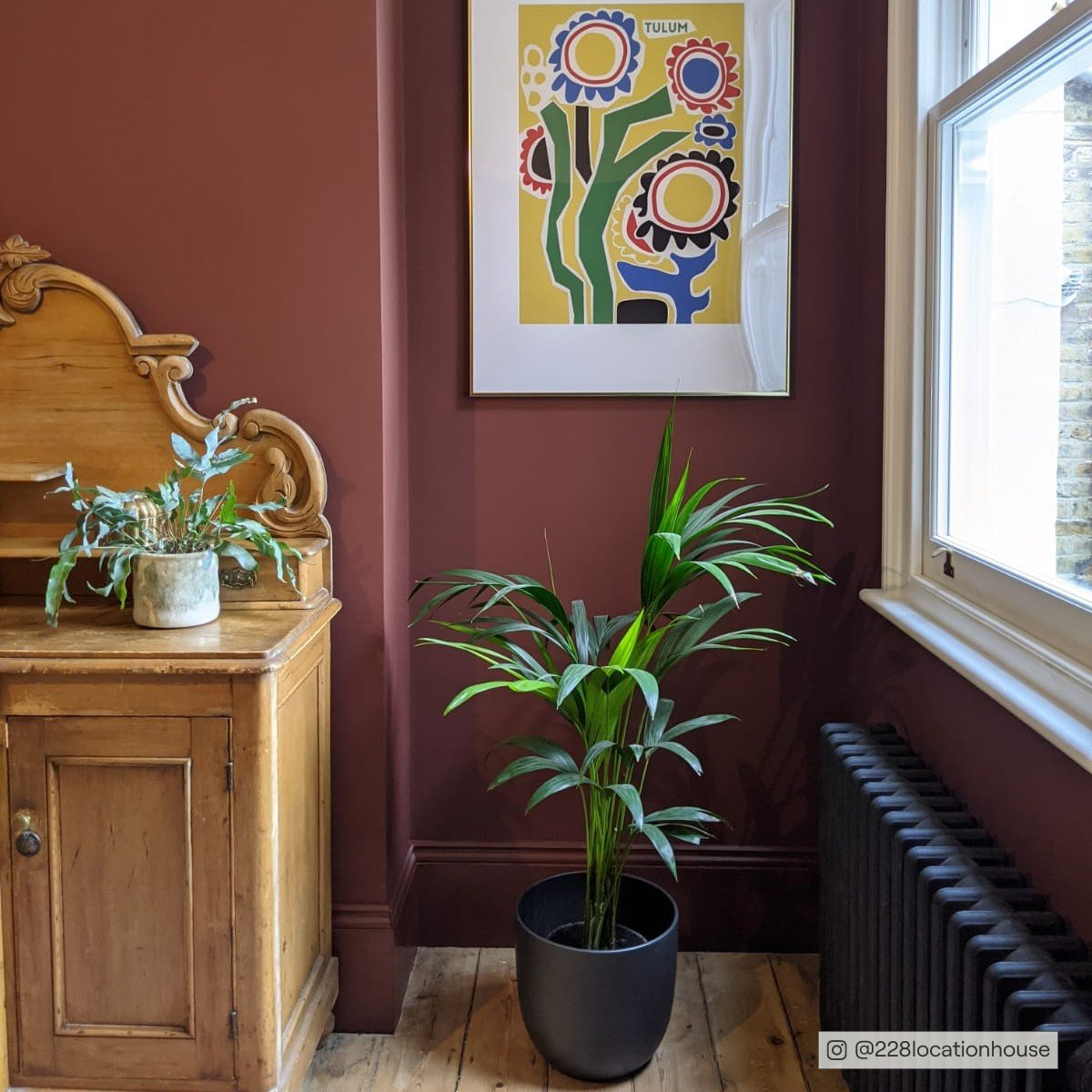 COAT The Old Corset Factory Dark Rust Red Emulsion Paint