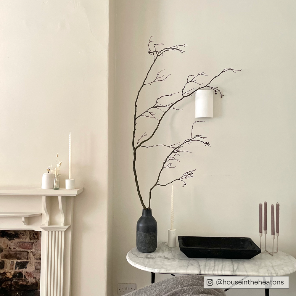 COAT Pampas Warm Off White Emulsion Paint