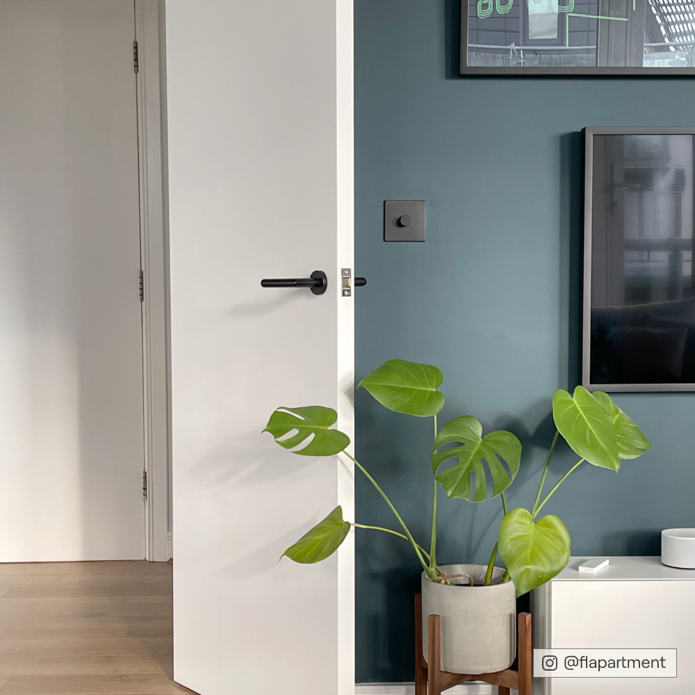 COAT The Drink Dark Blue-Green Emulsion Paint